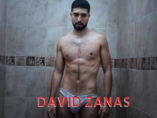 DAVID_ZANAS