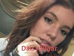 Daisy_Sugar