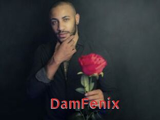 DamFenix