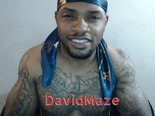 David_Maze