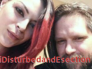 DeziDisturbedandEsection
