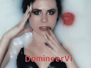 DomineerVi