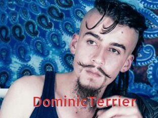DominicTerrier