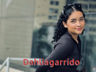 Dahliagarrido