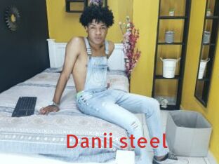 Danii_steel