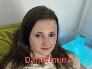 Dantelmure