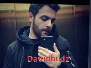 Davidbudz