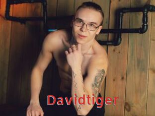 Davidtiger