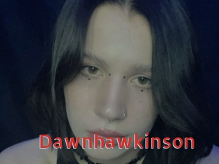 Dawnhawkinson