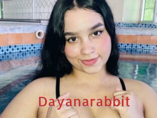 Dayanarabbit