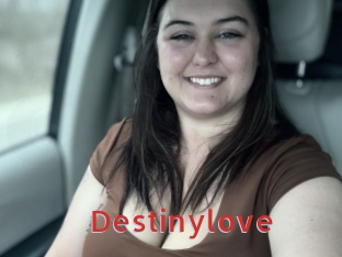 Destinylove