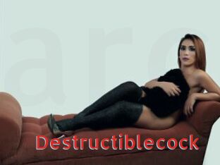 Destructiblecock
