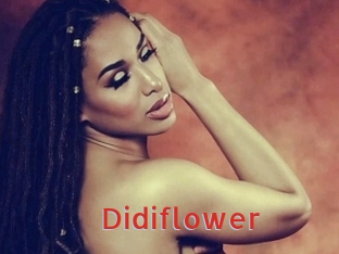 Didiflower