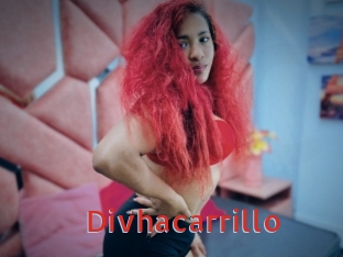 Divhacarrillo