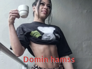 Domin_hamss