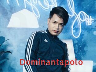 Dominantapolo