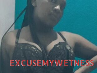 EXCUSEMYWETNESS