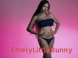 EmelyLittleBunny