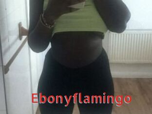 Ebony_flamingo