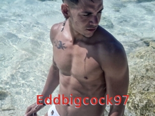 Eddbigcock97