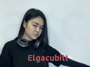 Elgacubitt