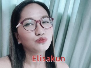 Elisakun