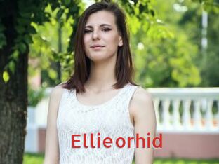 Ellieorhid