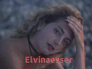 Elvinaesser