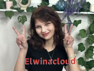 Elwinacloud