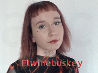 Elwinebuskey