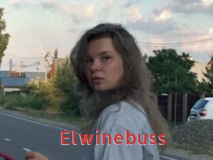 Elwinebuss