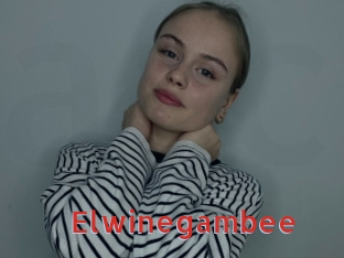 Elwinegambee