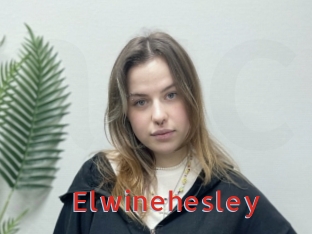 Elwinehesley