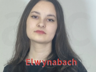Elwynabach