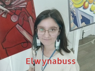 Elwynabuss