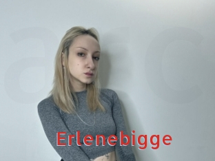 Erlenebigge