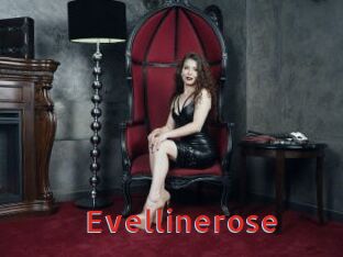 Evellinerose