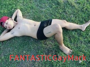 FANTASTICGayMark