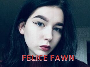 FELICE_FAWN