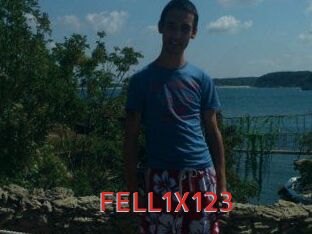 FELL1X123