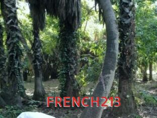 FRENCH213