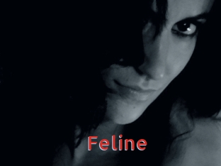 Feline