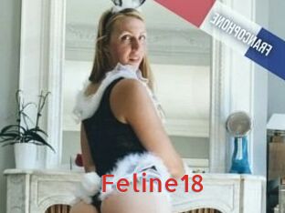 Feline18