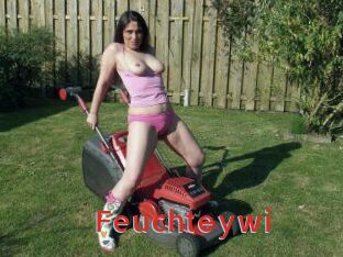 Feuchteywi