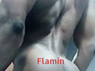 Flamin