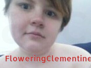 FloweringClementine