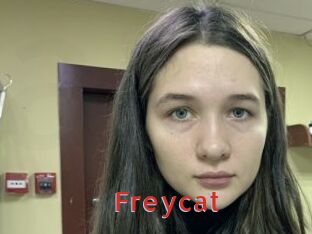 Freycat
