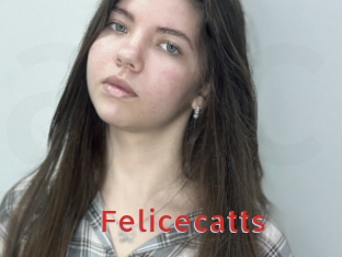 Felicecatts