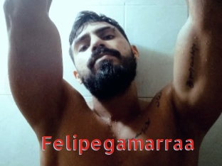Felipegamarraa