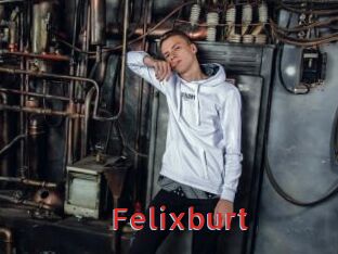 Felixburt